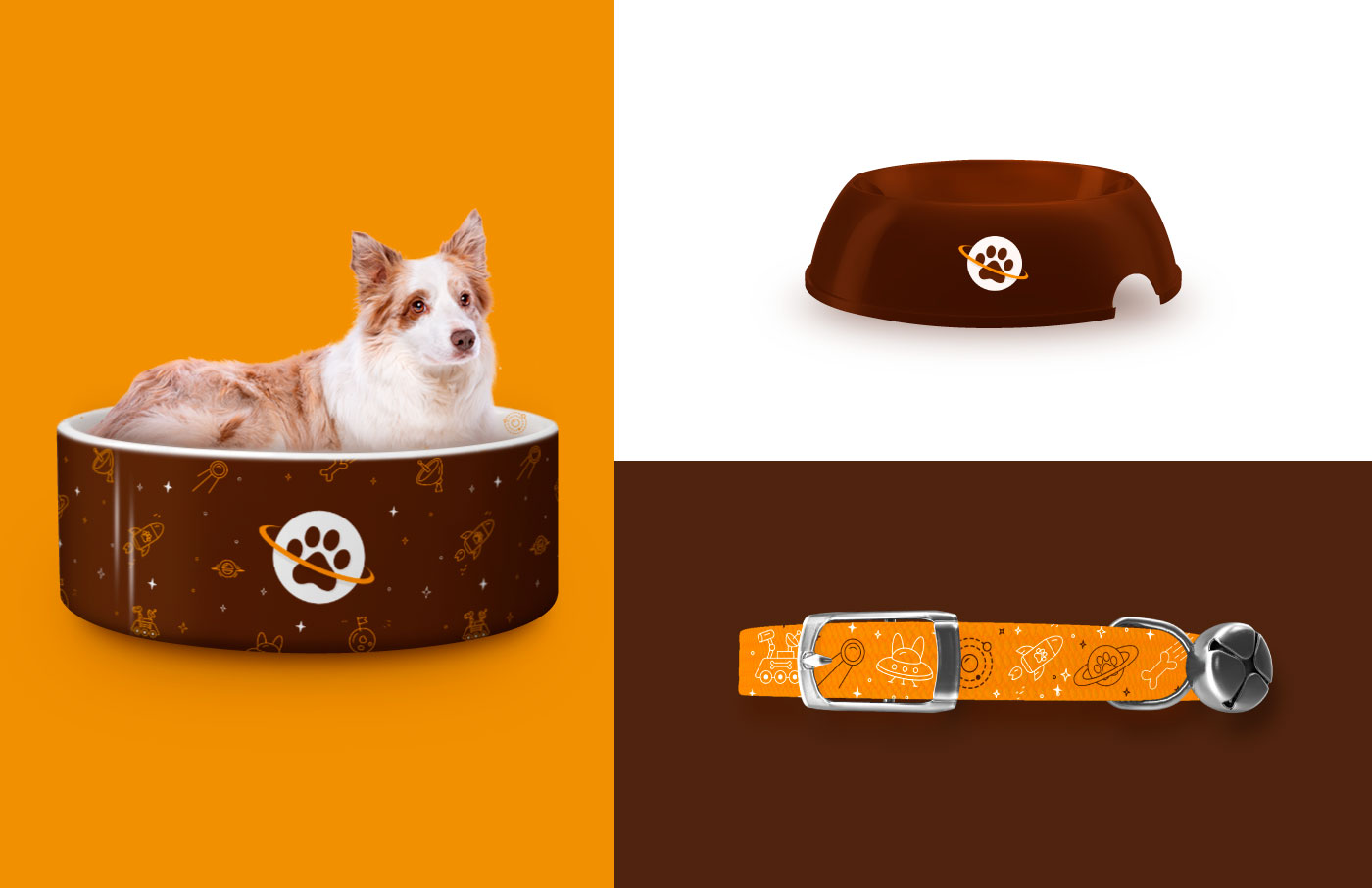 identidade-mundo-animal